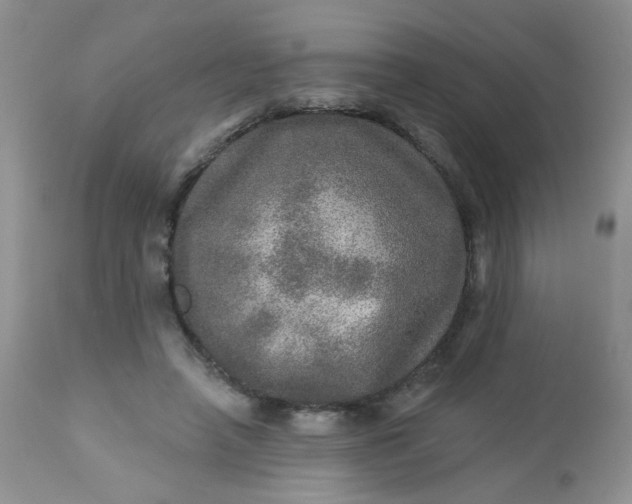 X0000113570450200910091443