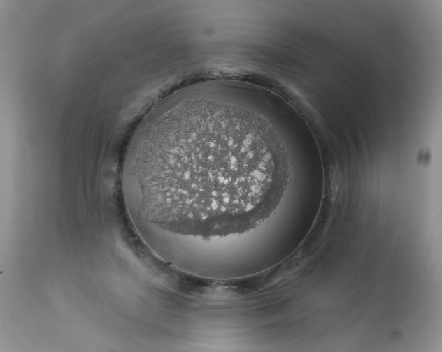 X0000113570451200910091443