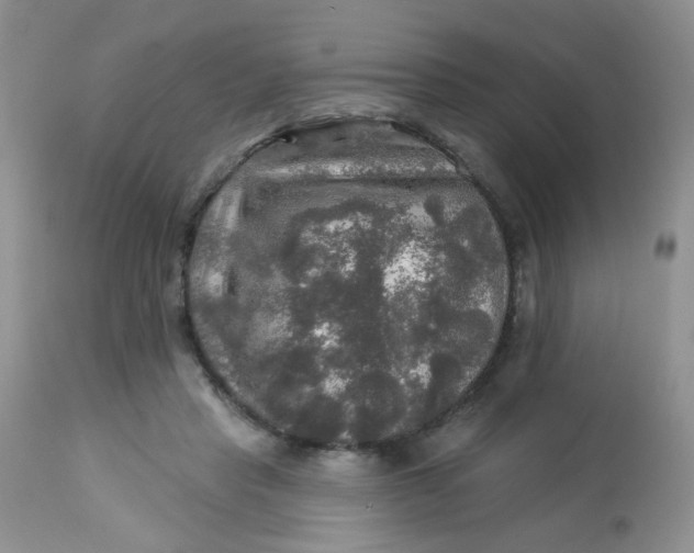 X0000113570453200910091443