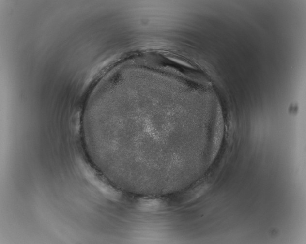 X0000113570454200910091443