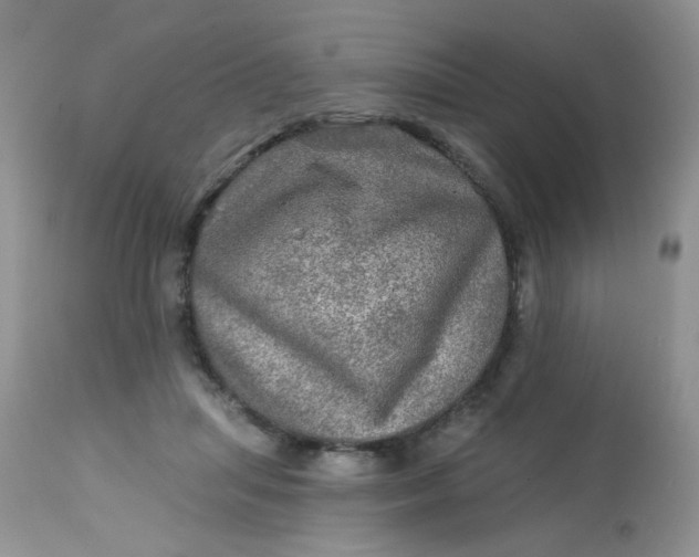 X0000113570455200910091443