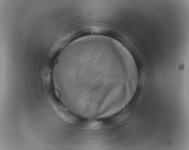 X0000113570456200910091443