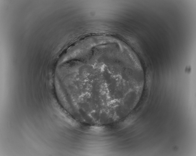 X0000113570457200910091443