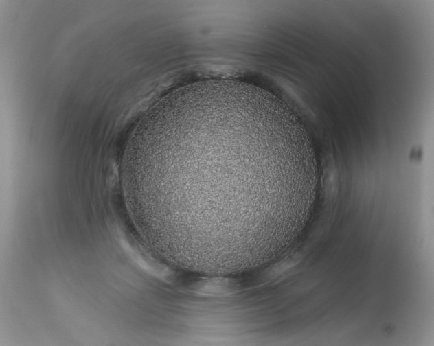 X0000113570459200910091443