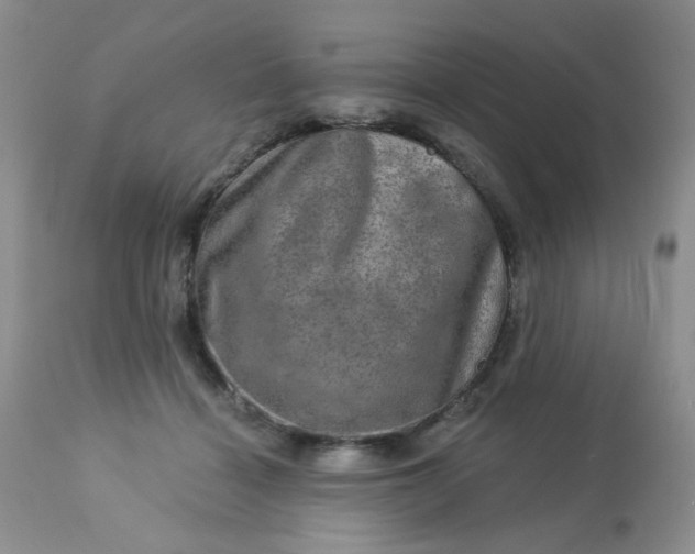 X0000113570460200910091443