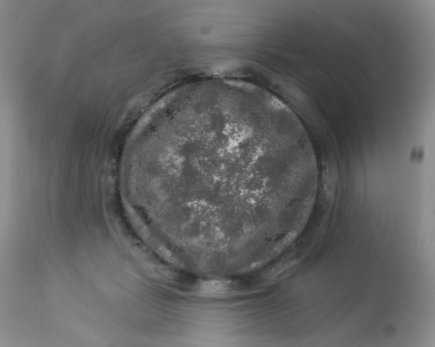 X0000113570461200910091443