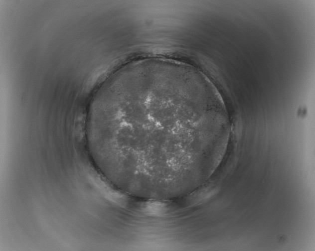 X0000113570462200910091443