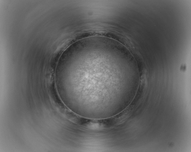 X0000113570464200910091443