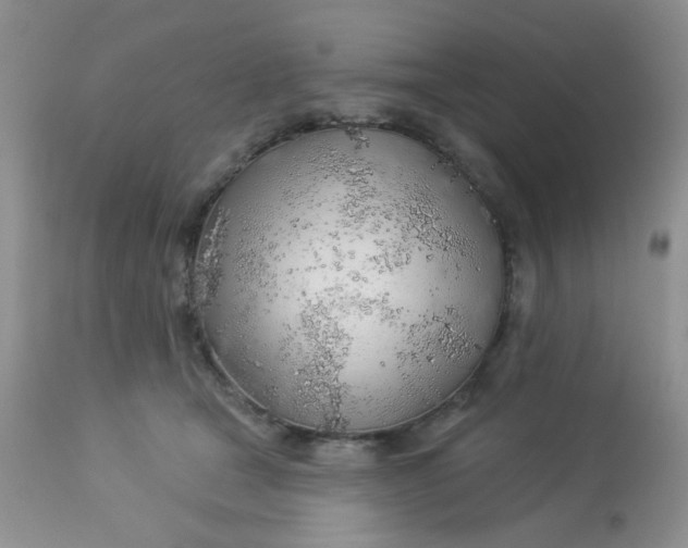 X0000113570465200910091443