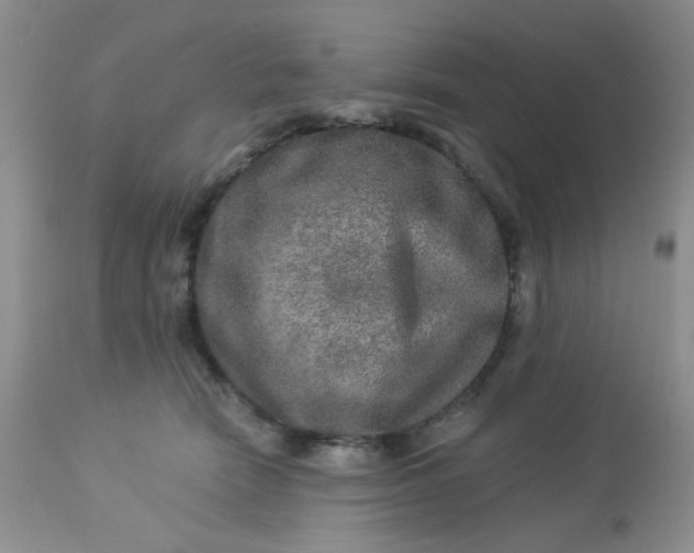 X0000113570466200910091443