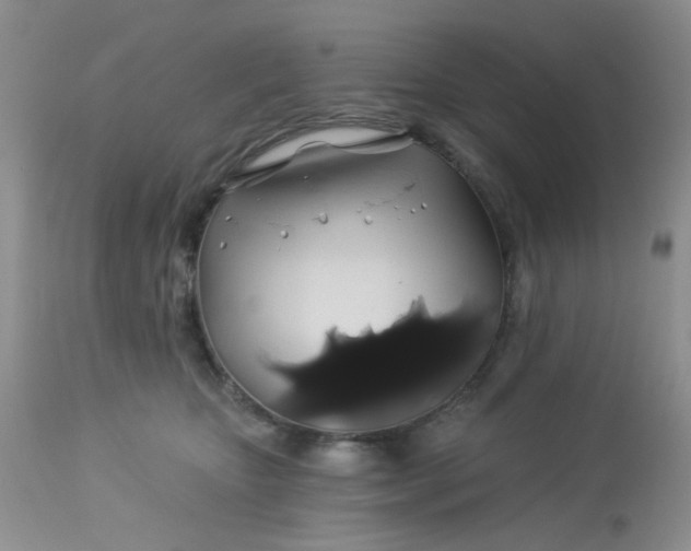 X0000113570467200910091443