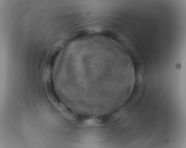 X0000113570468200910091443