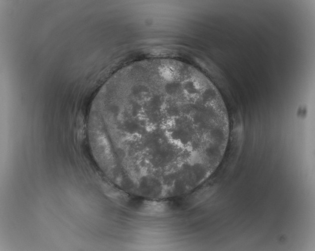 X0000113570469200910091443