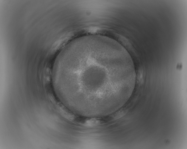 X0000113570470200910091443