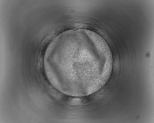 X0000113570473200910091443