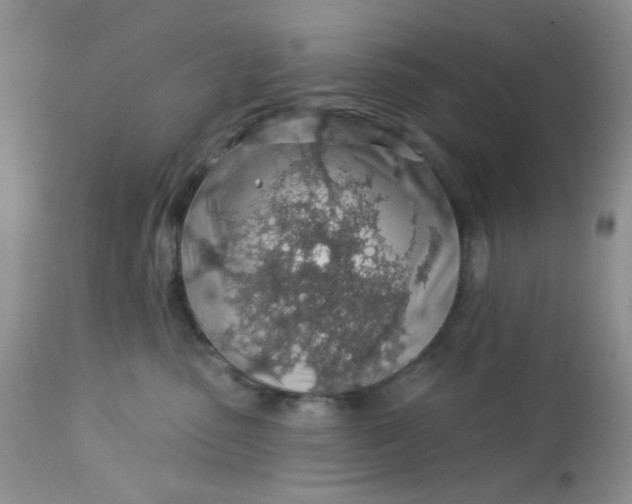 X0000113570475200910091443