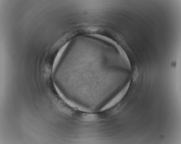 X0000113570476200910091443