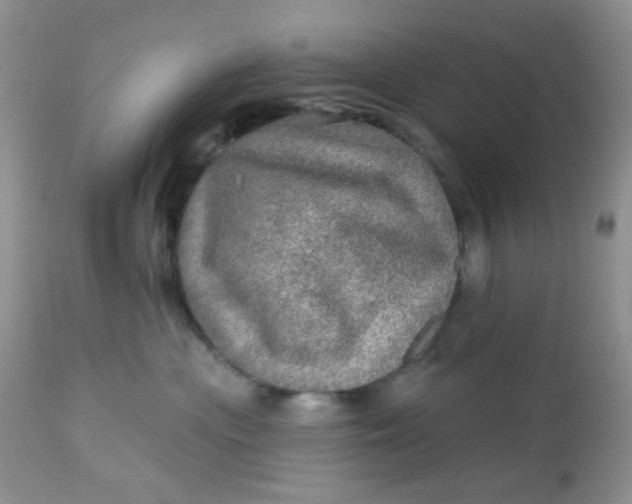 X0000113570477200910091443