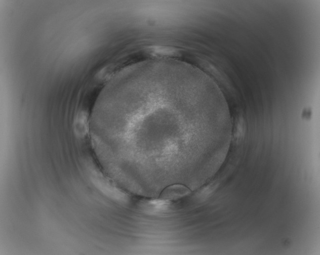 X0000113570478200910091443