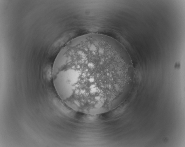 X0000113570479200910091443