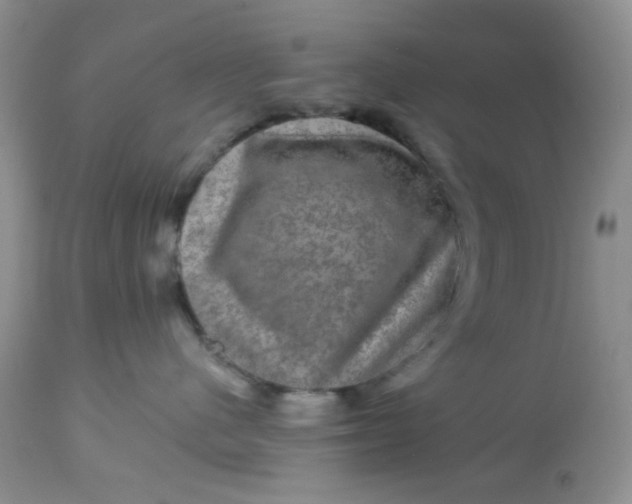 X0000113570480200910091443