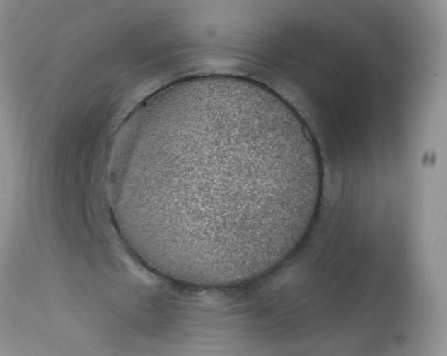 X0000113570481200910091442