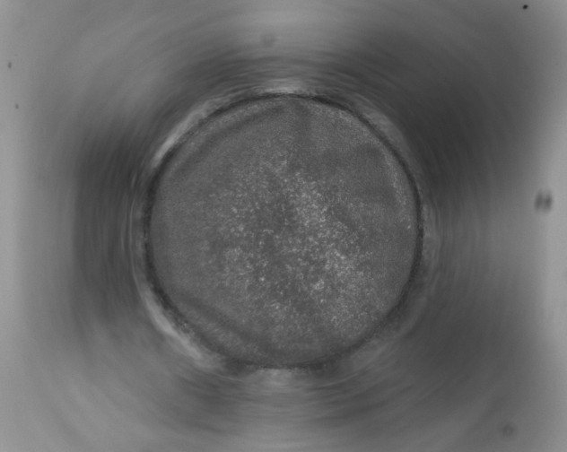 X0000113570482200910091442