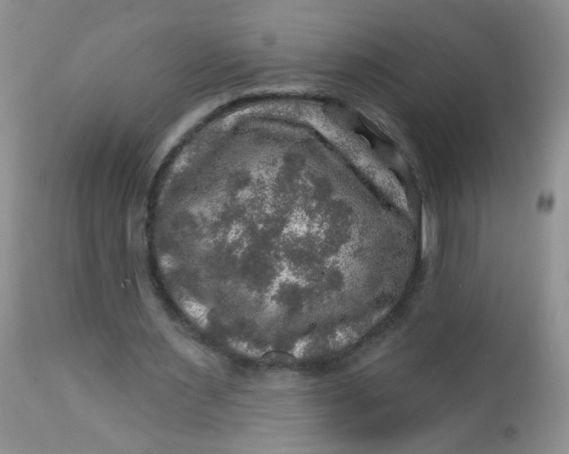 X0000113570483200910091442