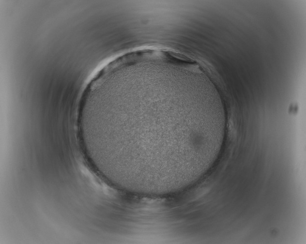 X0000113570484200910091442