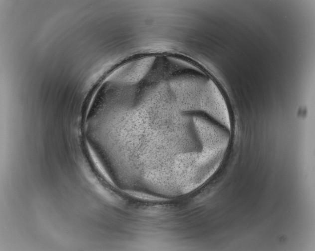 X0000113570485200910091442