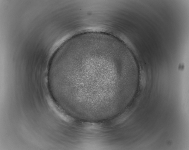 X0000113570486200910091442