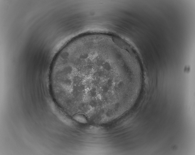 X0000113570487200910091442