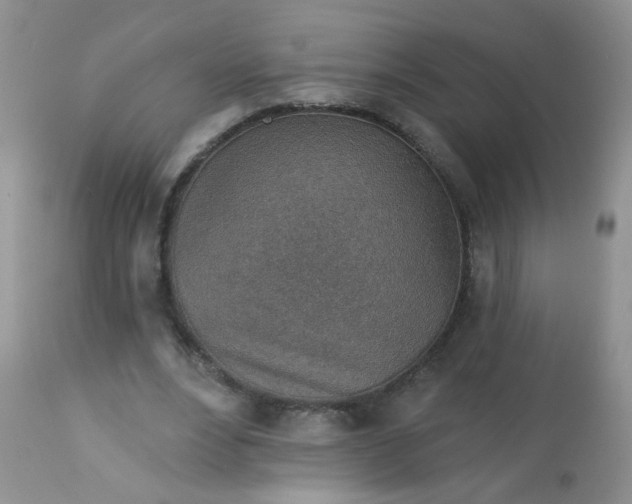 X0000113570488200910091442