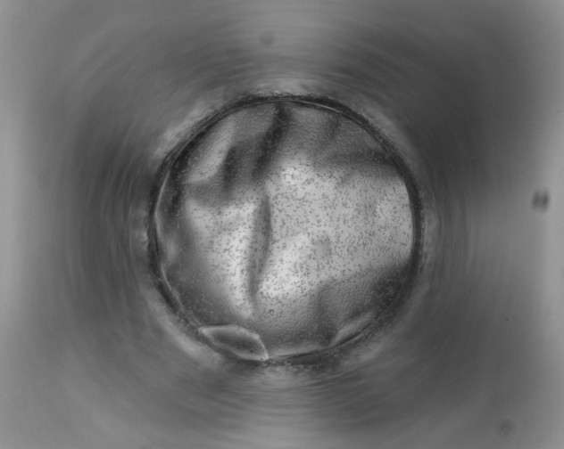 X0000113570489200910091442