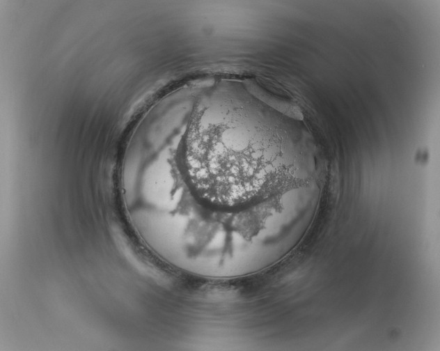 X0000113570491200910091442