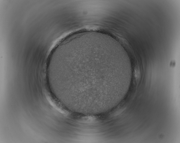 X0000113570492200910091442