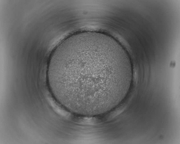 X0000113570493200910091442