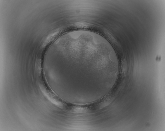 X0000113570494200910091442