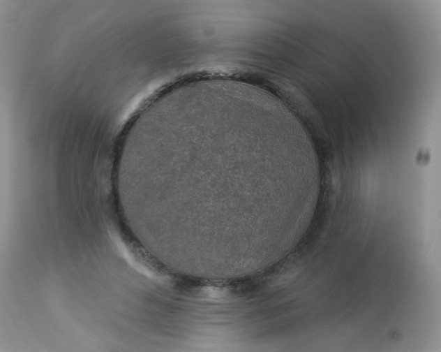 X0000113570496200910091442