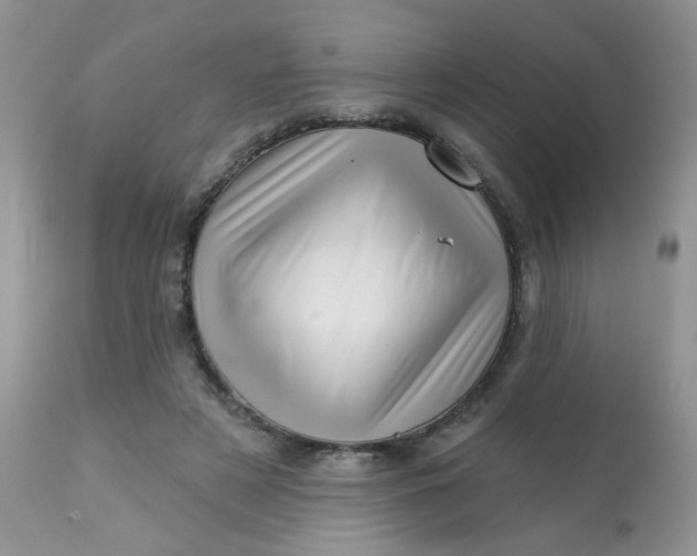 X0000113570497200910091442