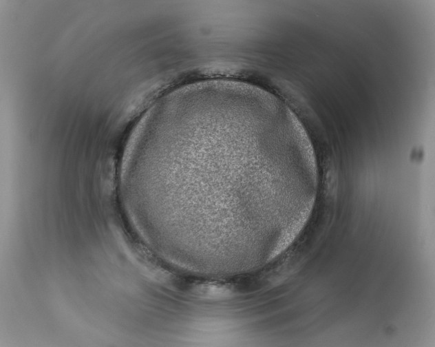 X0000113570498200910091442