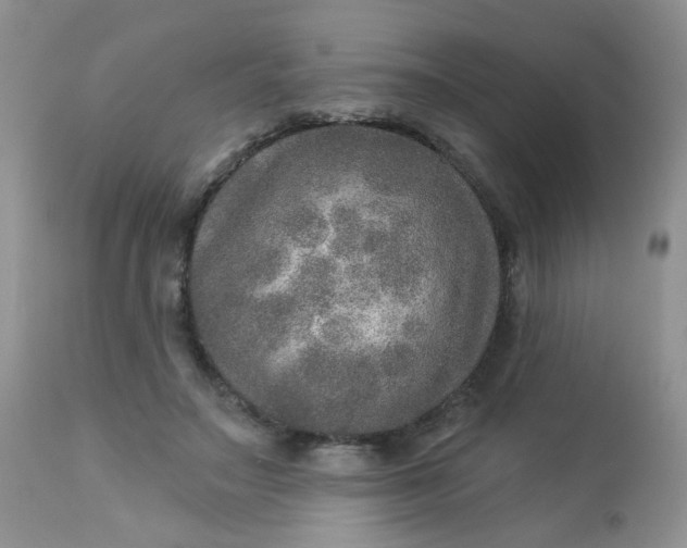 X0000113570499200910091442