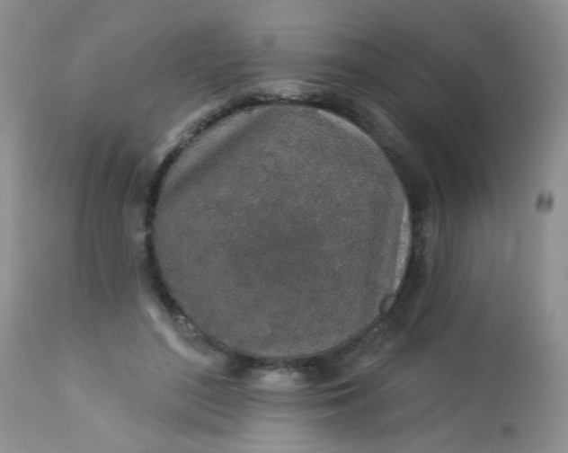 X0000113570500200910091442