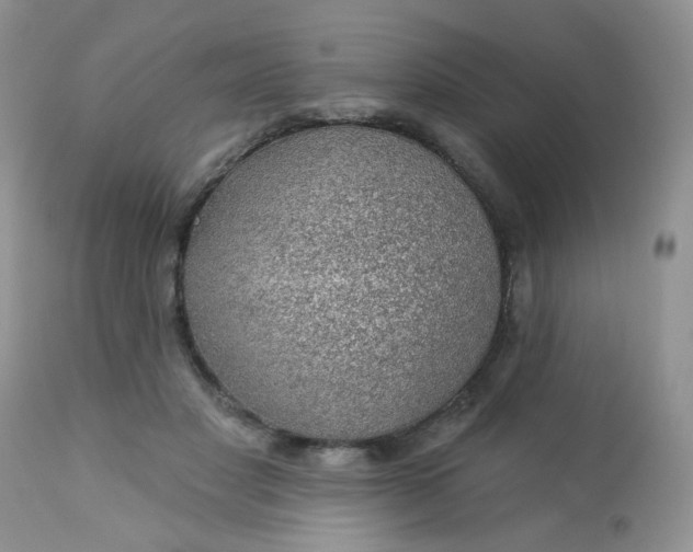 X0000113570501200910091442