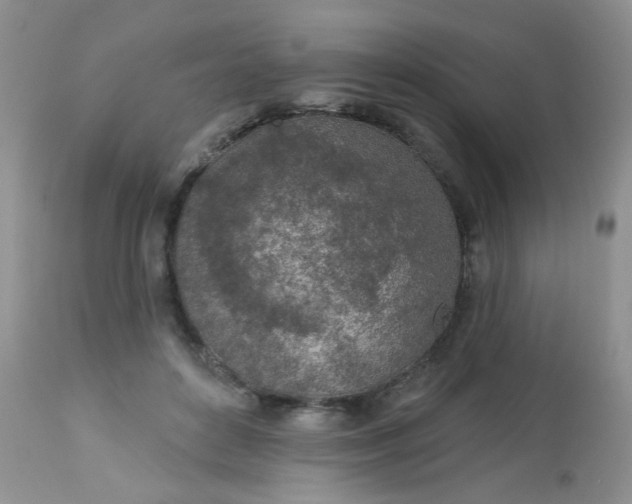 X0000113570504200910091442