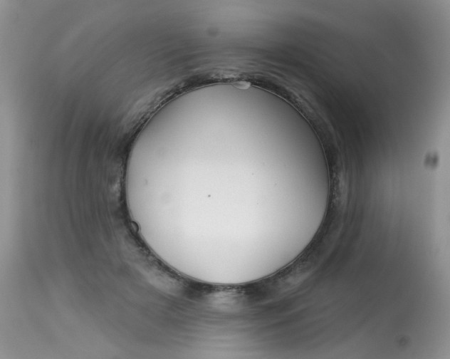 X0000113570505200910091442