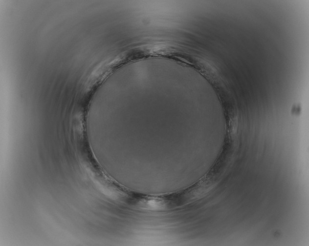 X0000113570506200910091442