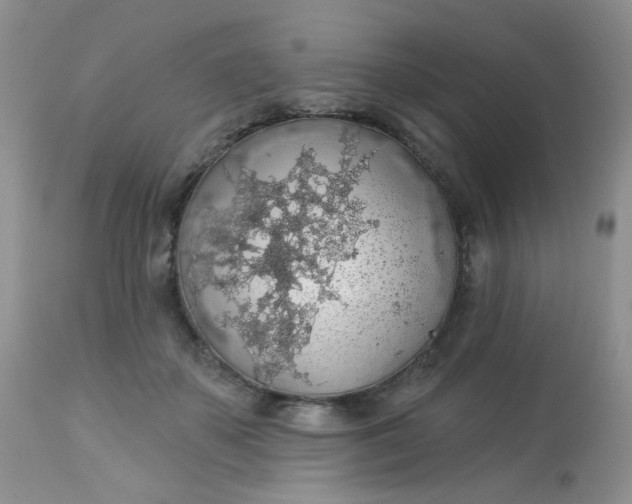 X0000113570507200910091442