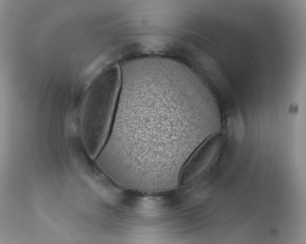 X0000113570508200910091442