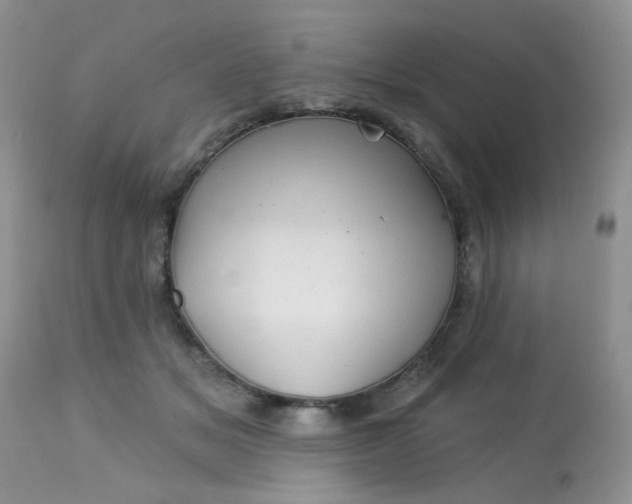 X0000113570509200910091442